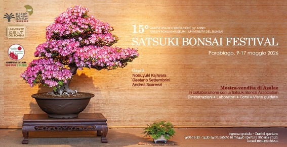 Satsuki Bonsai Festival 2026